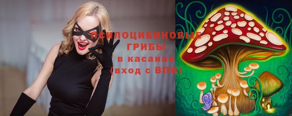 гидропоника Балахна