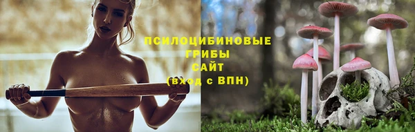 гидропоника Балахна