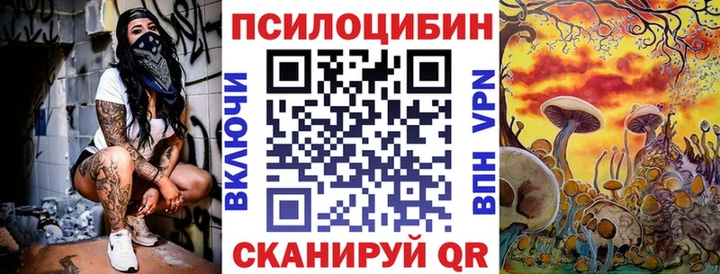 как найти наркотики  Венёв  Галлюциногенные грибы MAGIC MUSHROOMS 